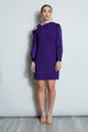 Winter Plum