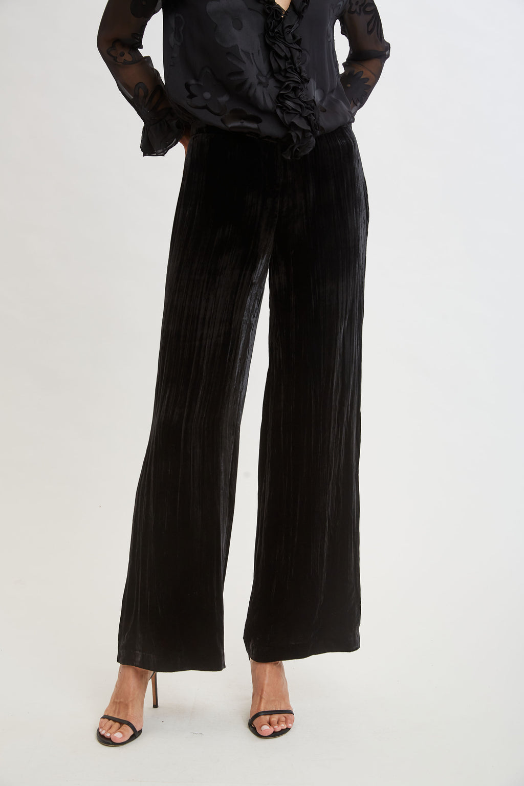Women Plisse Velvet Fluid Pant Black | Elie Tahari